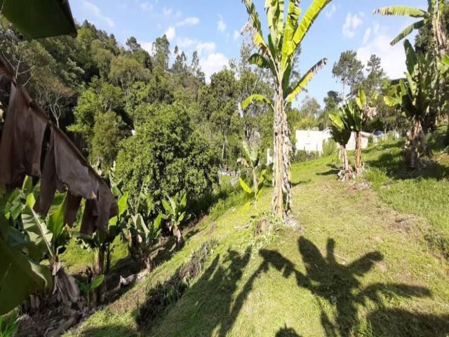 #20401 - Área para Venda em Arujá - SP - 3