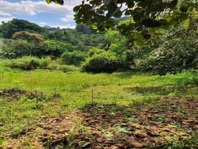 Área para Venda em Arujá - 4