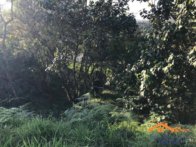 Terreno em condomínio para Venda em Santa Isabel - 4