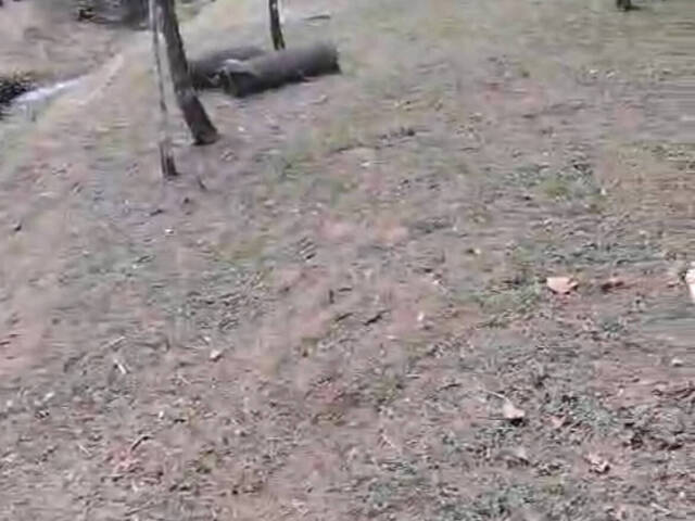 Sítio para Venda em Nazaré Paulista - 4