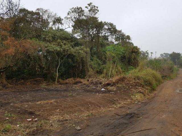 #19512 - Área para Venda em Arujá - SP - 1