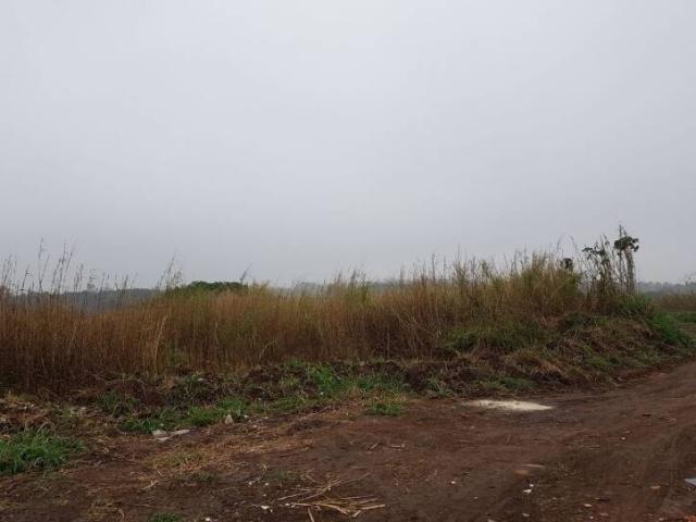 #19514 - Área para Incorporação para Venda em Arujá - SP - 3